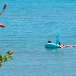 Nel Mare